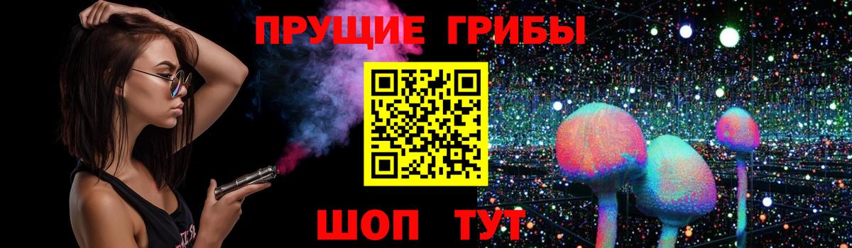 Фурманов  Галлюциногенные грибы Psilocybine cubensis  Вход с VPN 