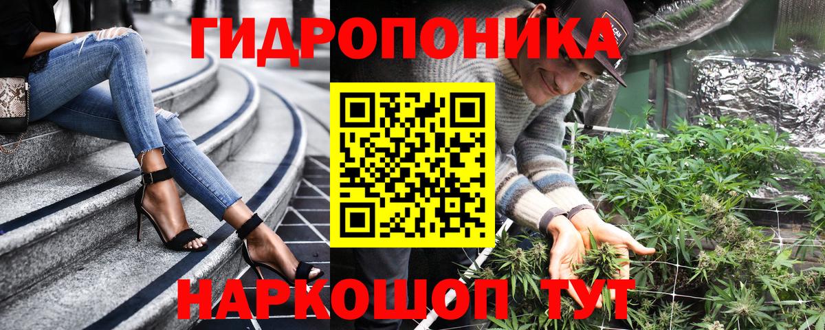 Конопля Amnesia Фурманов
